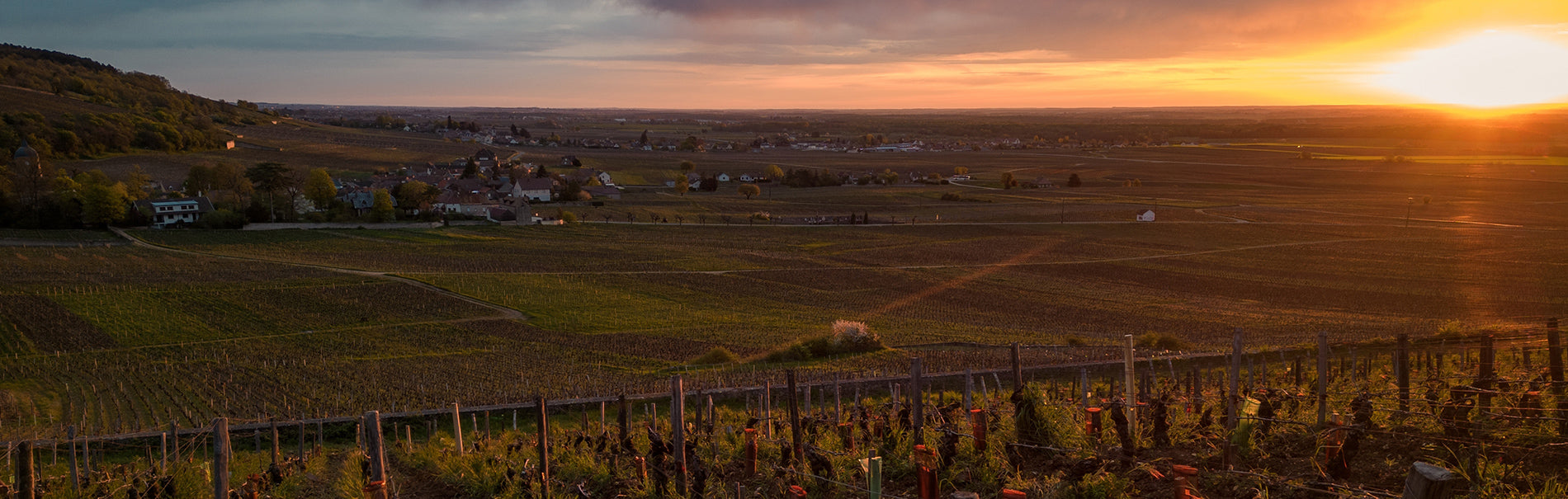 Burgundy 2023 <br> En Primeur