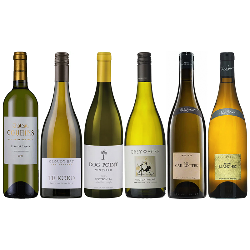 Premium Sauvignon Blanc Case