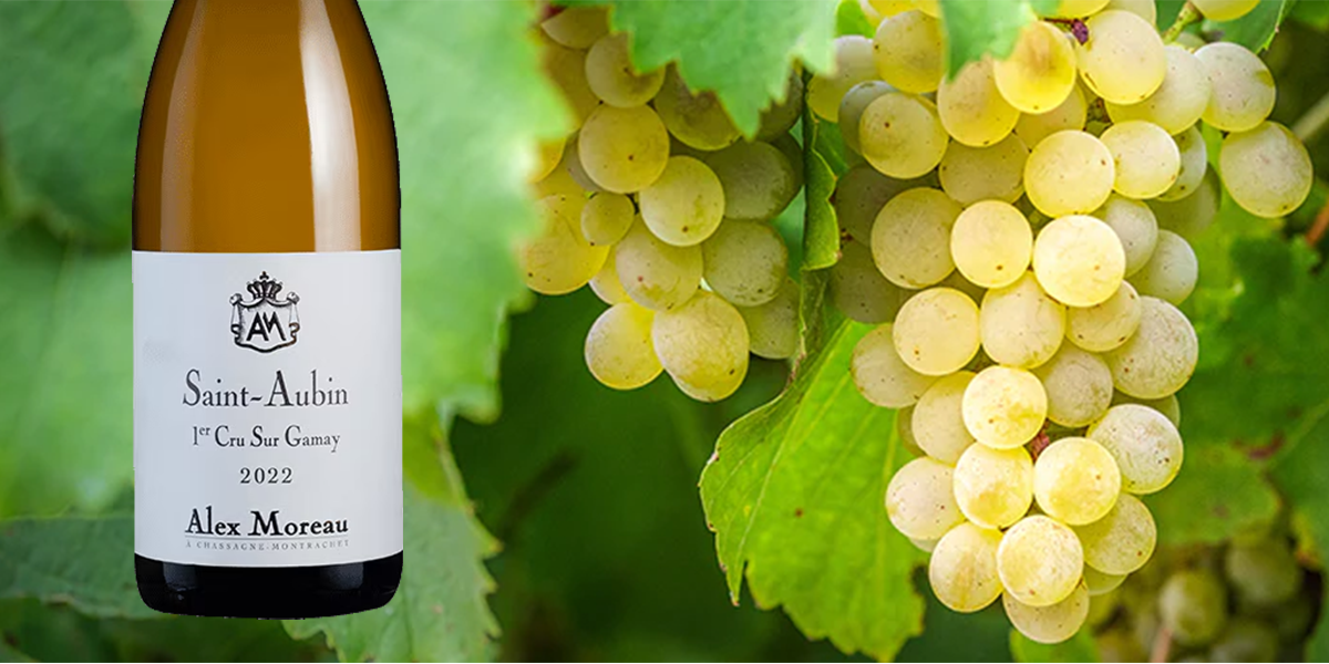 Chardonnay