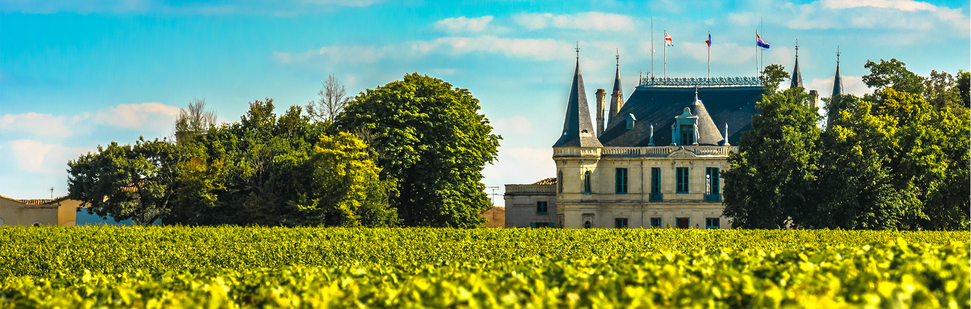 Bordeaux 2022: Vintage Profile