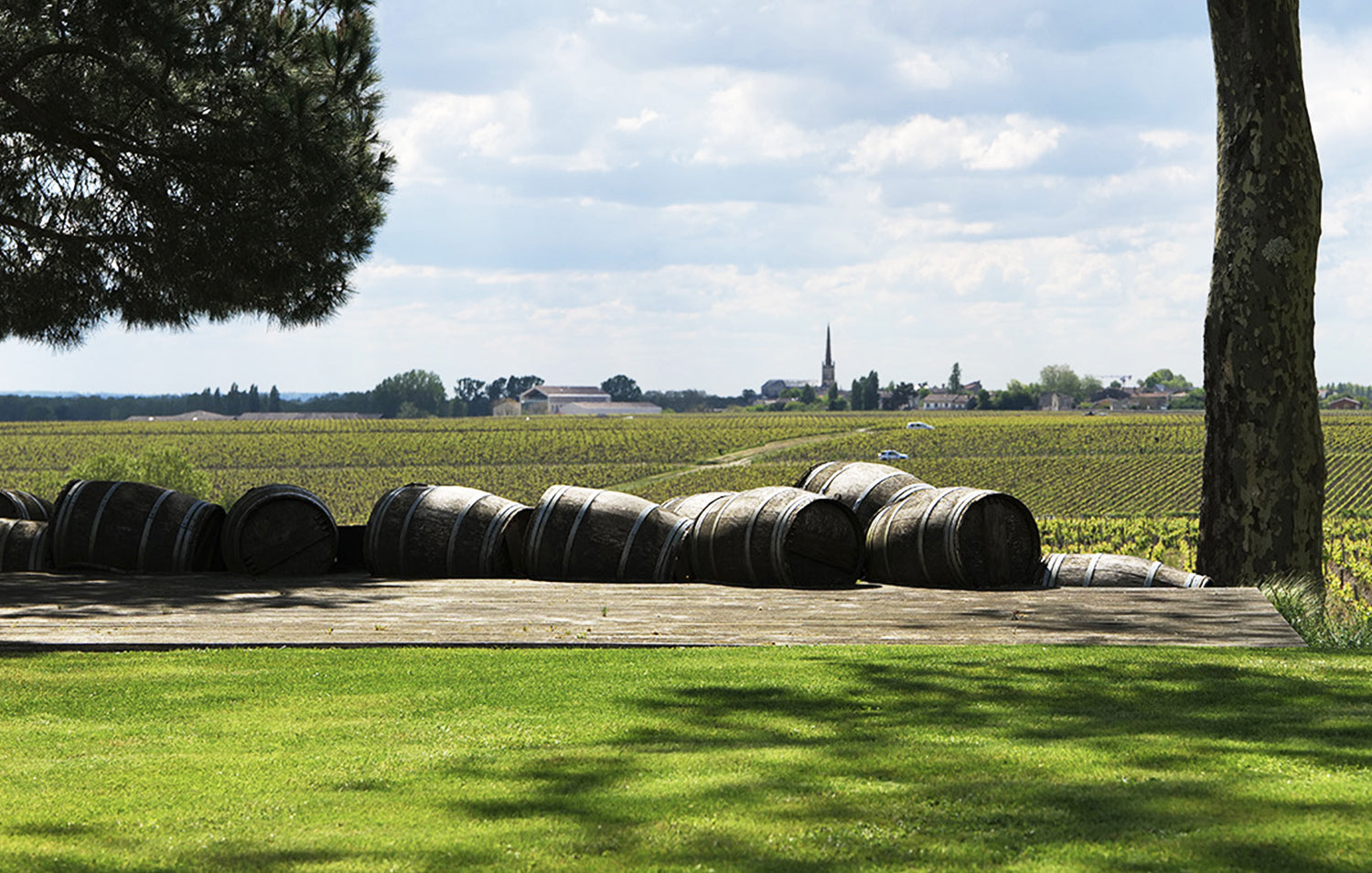 Bordeaux 2023 <br>En Primeur Collection