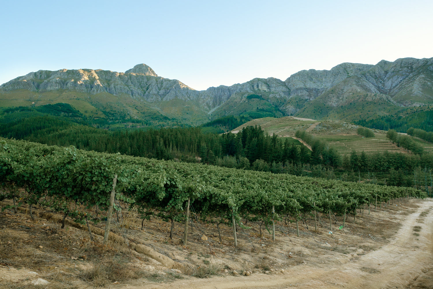 Crystallum 2024, South Africa