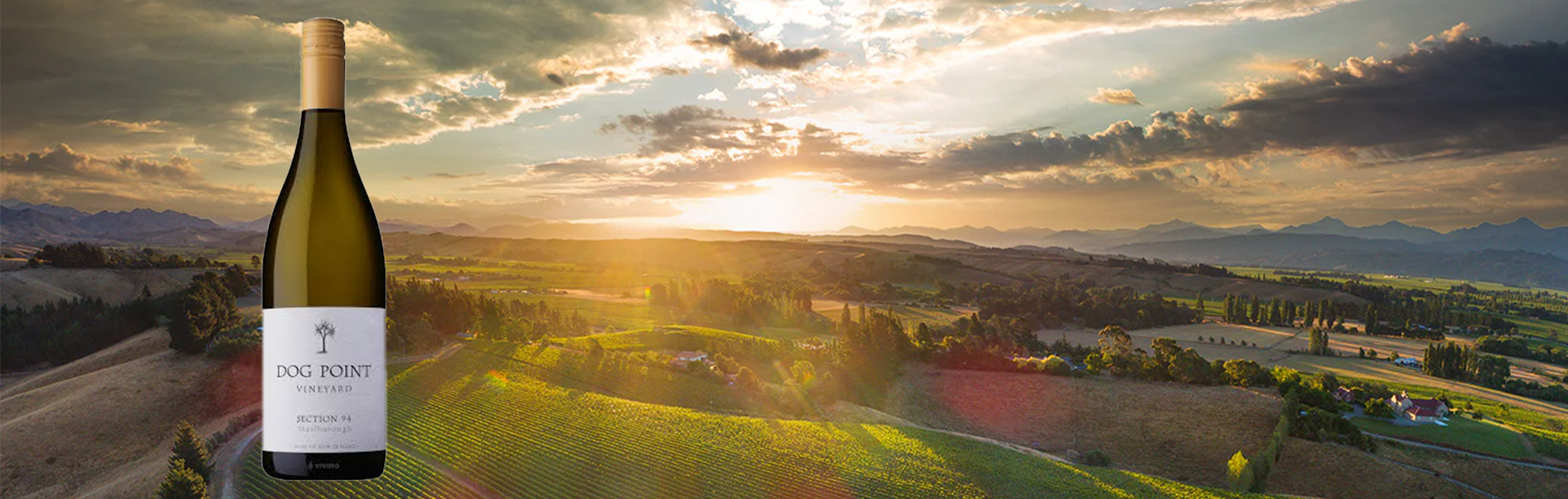 Dog Point, New Zealand