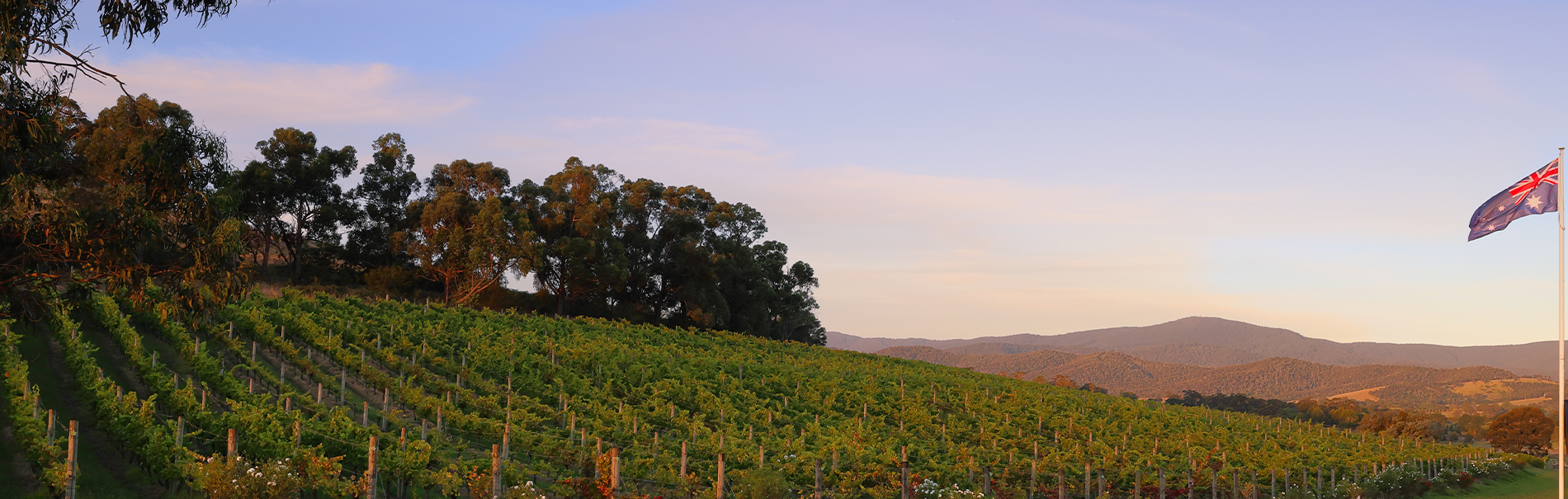 Yarra Yering, Yarra Valley, Australia
