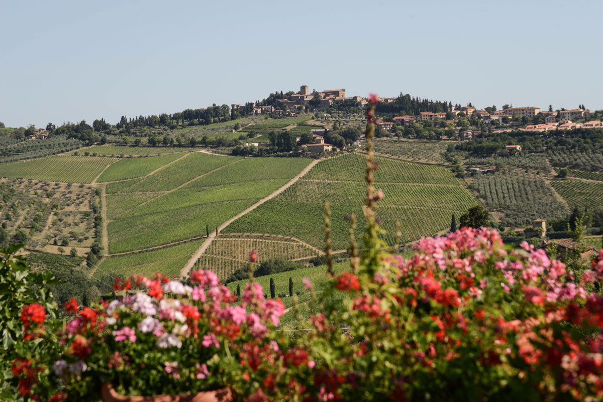 Fontodi, Tuscany