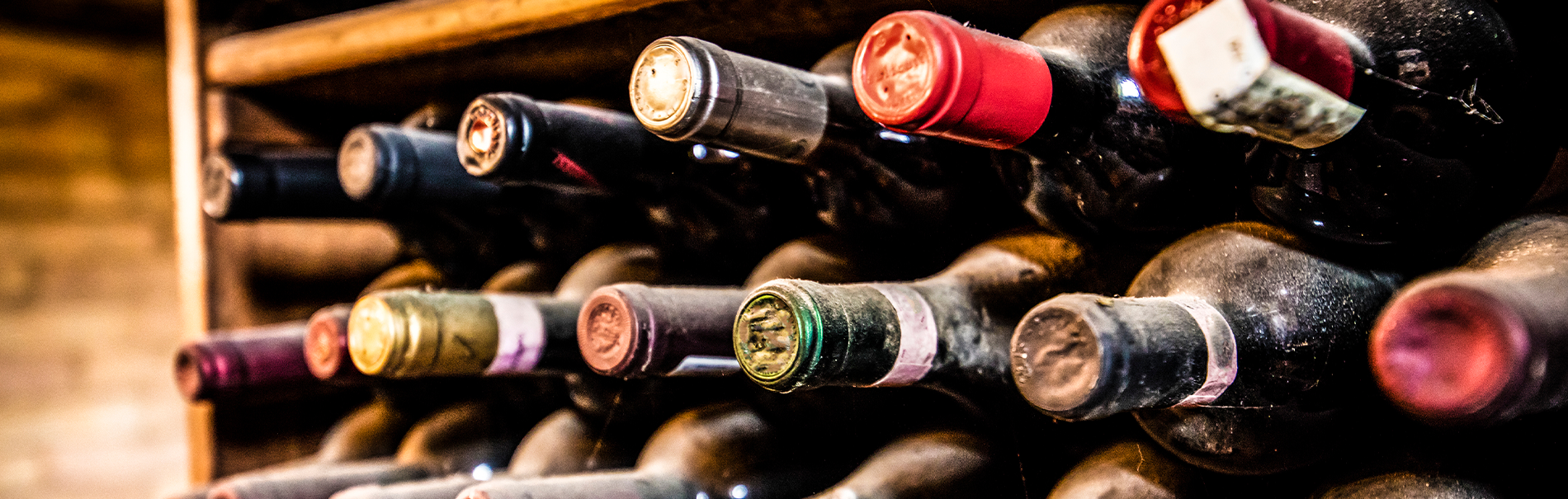 January Bin Ends: Discounted Stock