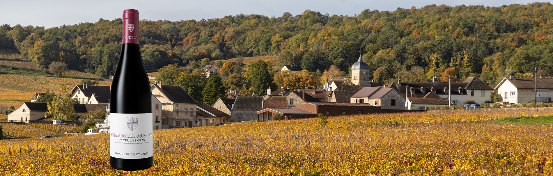 Domaine Hudelot-Baillet, Chambolle-Musigny