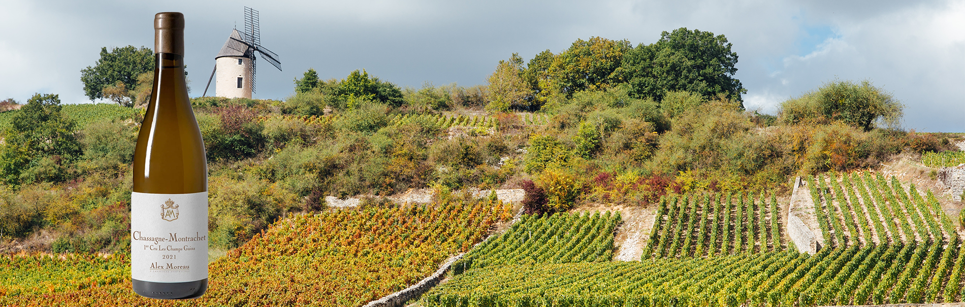 Domaine Alex Moreau