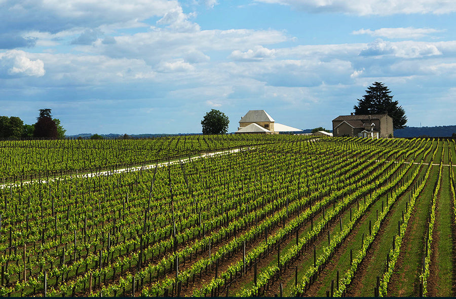 Bordeaux 2025 En Primeur: <br>Other Right Bank