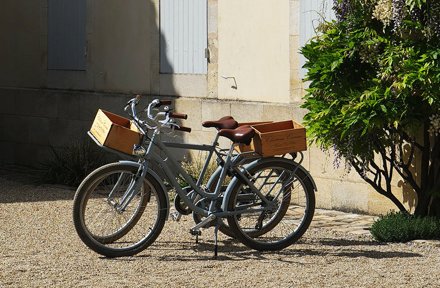 Bordeaux 2025 En Primeur: <br>St-Emilion