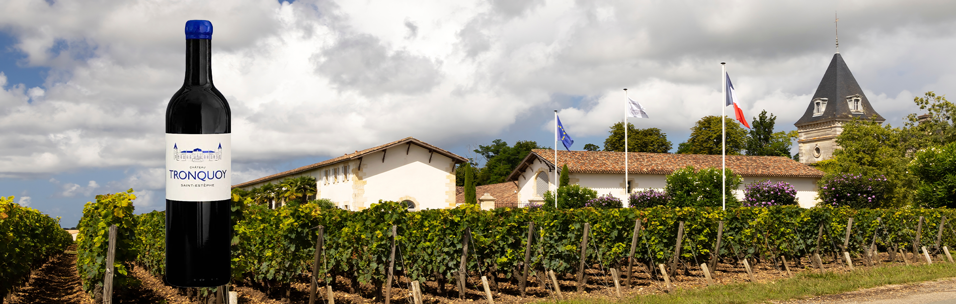 Bordeaux 2020: Vintage Profile