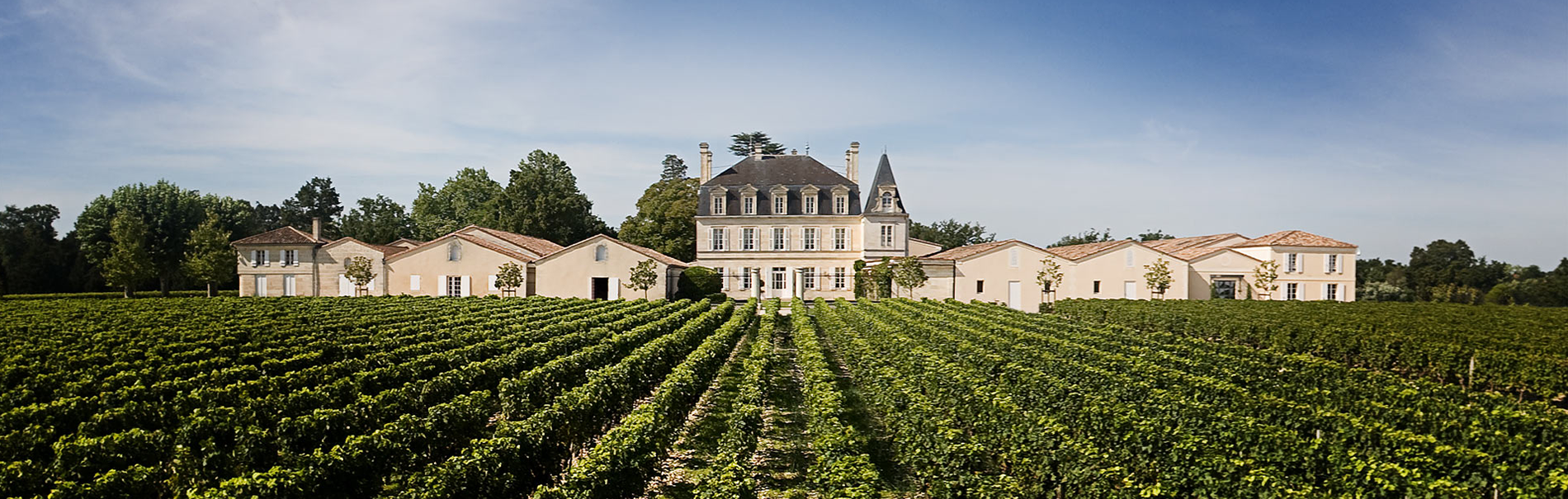 Bordeaux 2019: Vintage Profile