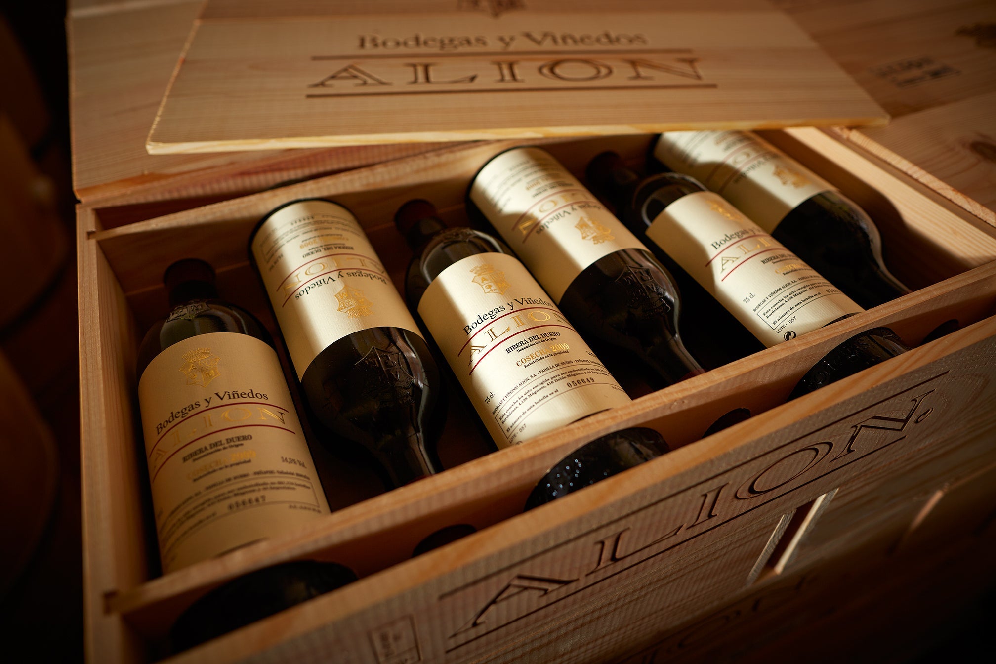 Vega Sicilia 2026 Releases