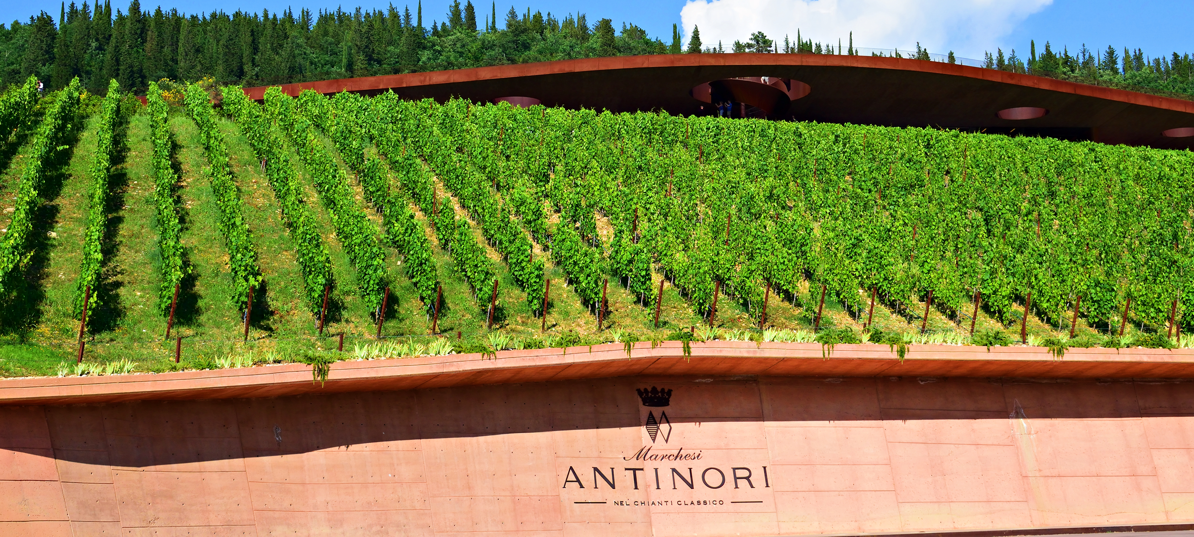 Antinori 2025 Releases