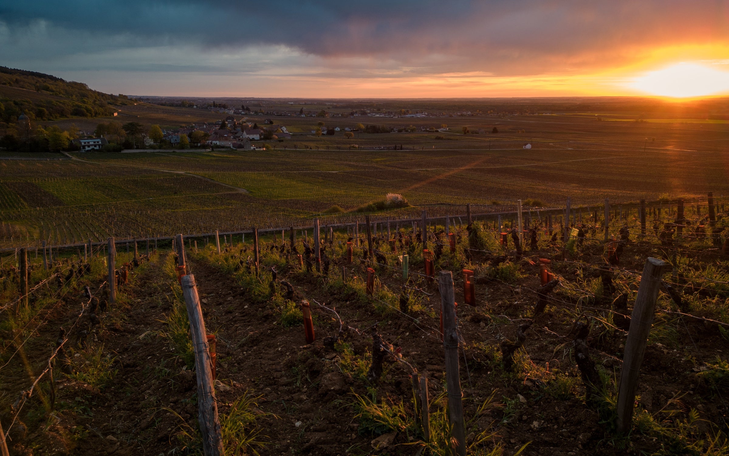 Burgundy 2023 <br> En Primeur