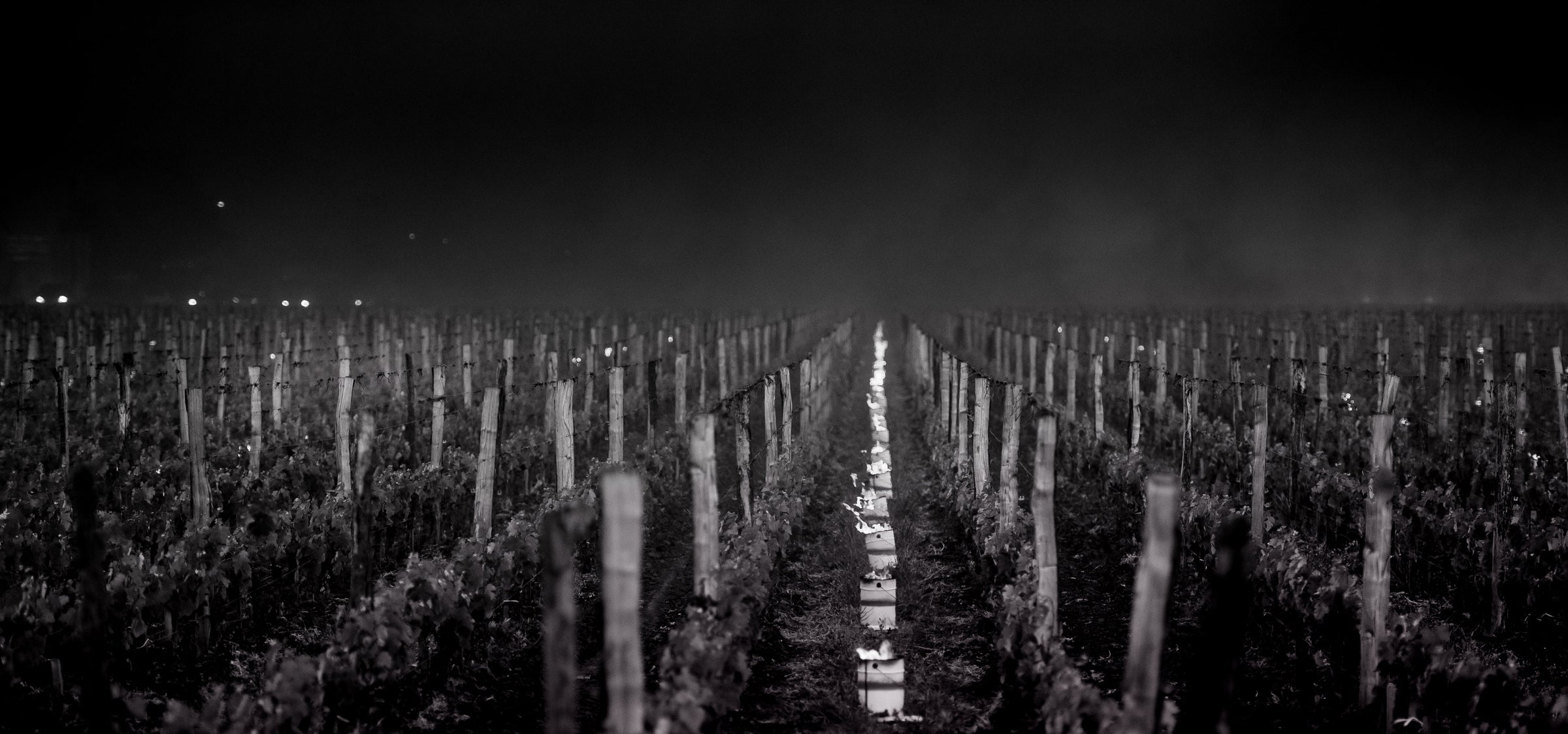 Bordeaux 2023: Vintage Profile