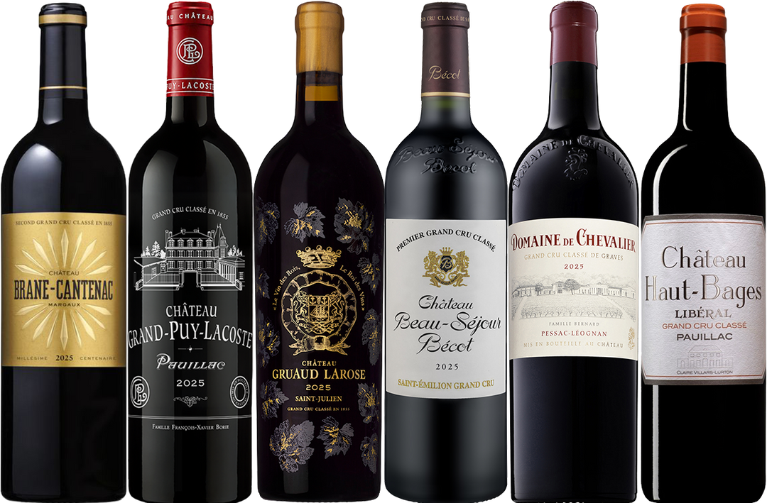 Bordeaux 2025: Gus's Picks Mixed Case