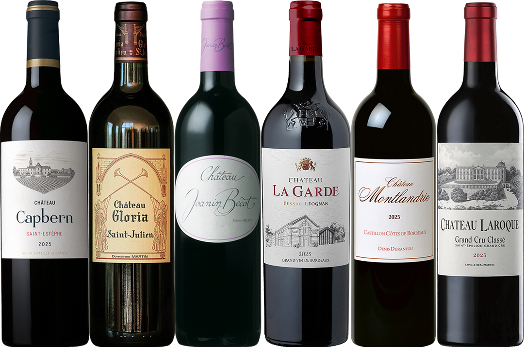 Bordeaux 2025: Gus's Value Picks Mixed Case