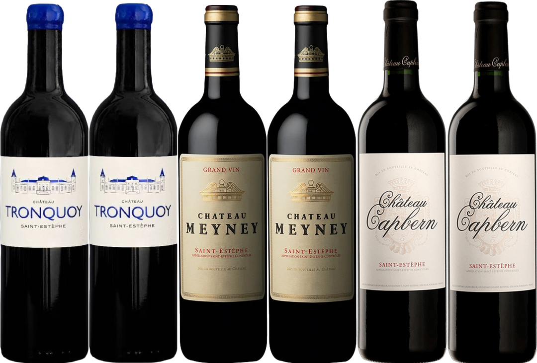 St-Estèphe 2020 Tasting Case